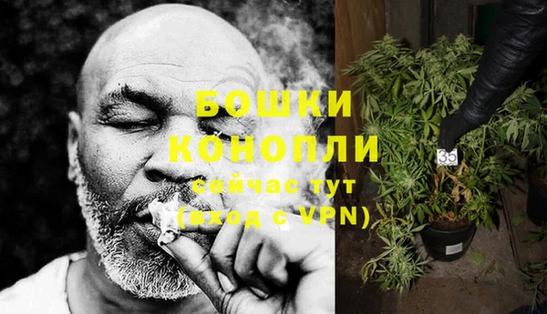 каннабис Аркадак
