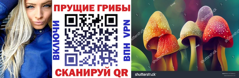 Галлюциногенные грибы прущие грибы Светлый