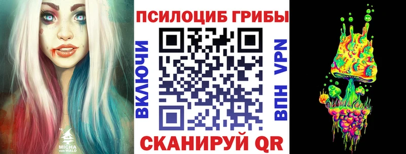kraken tor  Светлый  Галлюциногенные грибы GOLDEN TEACHER 